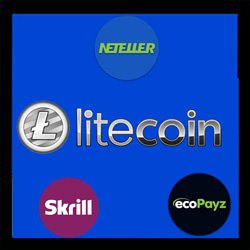 litecoin-methodes-bancaires-disponibles-site